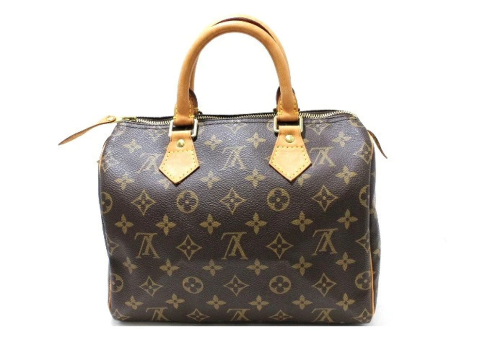 LOUIS VUITTON Speedy Monogram Handbag